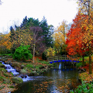 Regent's Park in the autumn (Photo by val savarese)