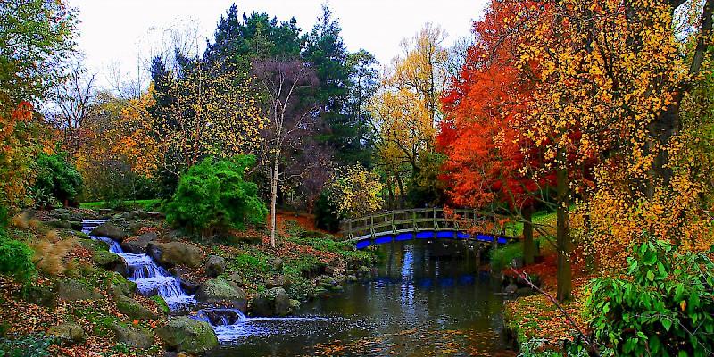 Regent's Park in the autumn (Photo by val savarese)