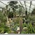 Inside the Princess of Wales Conservatory at Kew Gardens, Kew Gardens, London (Photo by Tadie88)
