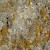 Lichens on the ancient stones, Stonehenge, Salisbury and Stonehenge (Photo Â© Reid Bramblett)