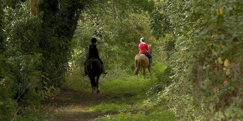 Riding along a bridle path in Cheshire, England (Photo by Terry Kearney)