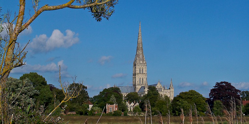 Salisbury Cathedral from across the Hanham Meadows (Photo Â© Reid Bramblett)