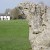 The B&amp;B really is inside the stone circle, Avebury Lodge, Salisbury and Stonehenge (Photo courtesy of the property)